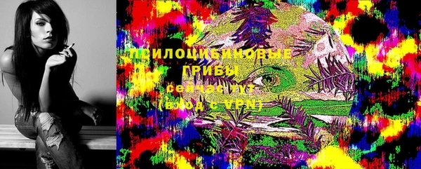 эйфоретик Арсеньев